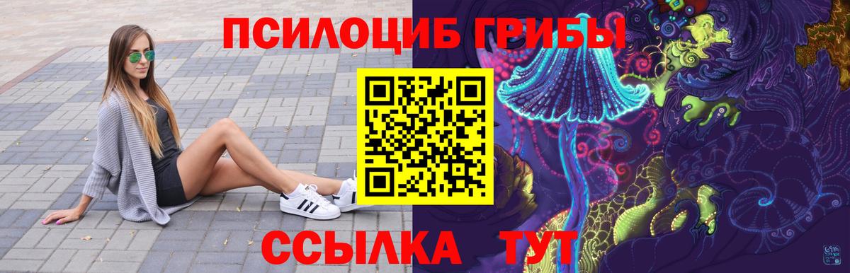Псилоцибиновые грибы мицелий  Вход с VPN  Тихвин 