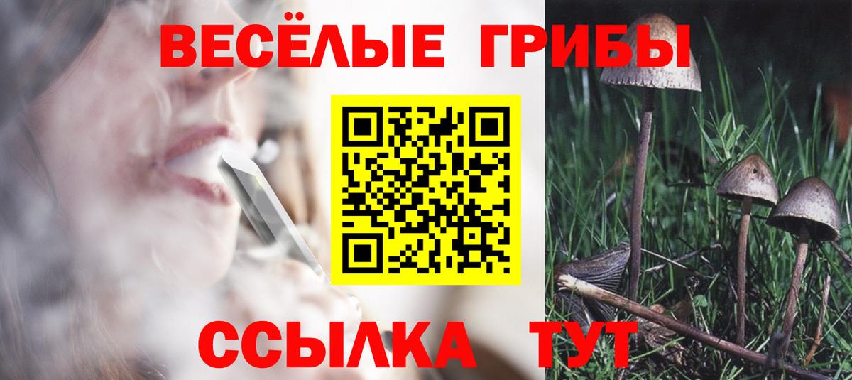 Галлюциногенные грибы мухоморы Тихвин